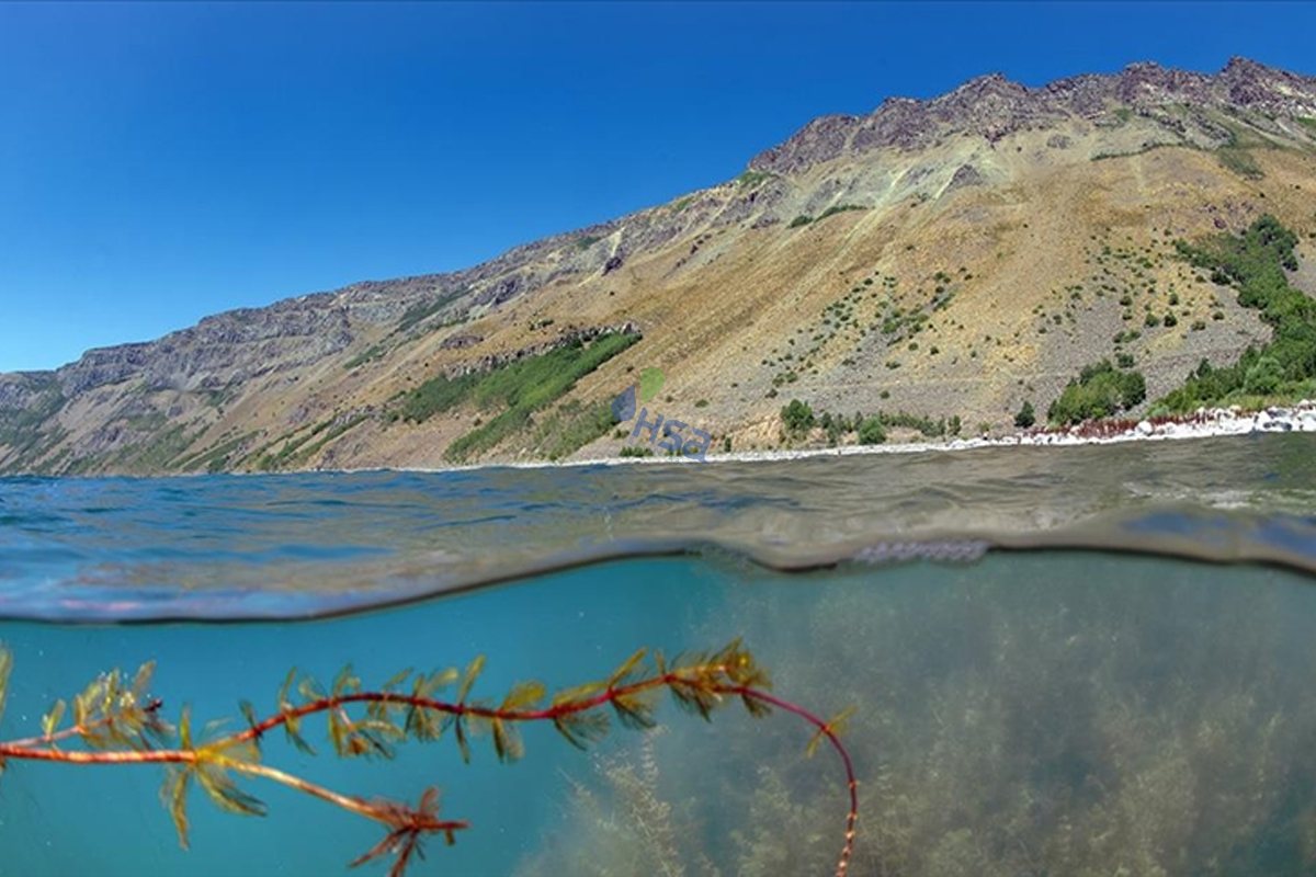 Bitlis Endüstriyel Su Arıtma Sistemleri